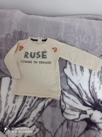 Rusé comme un renard 🦊