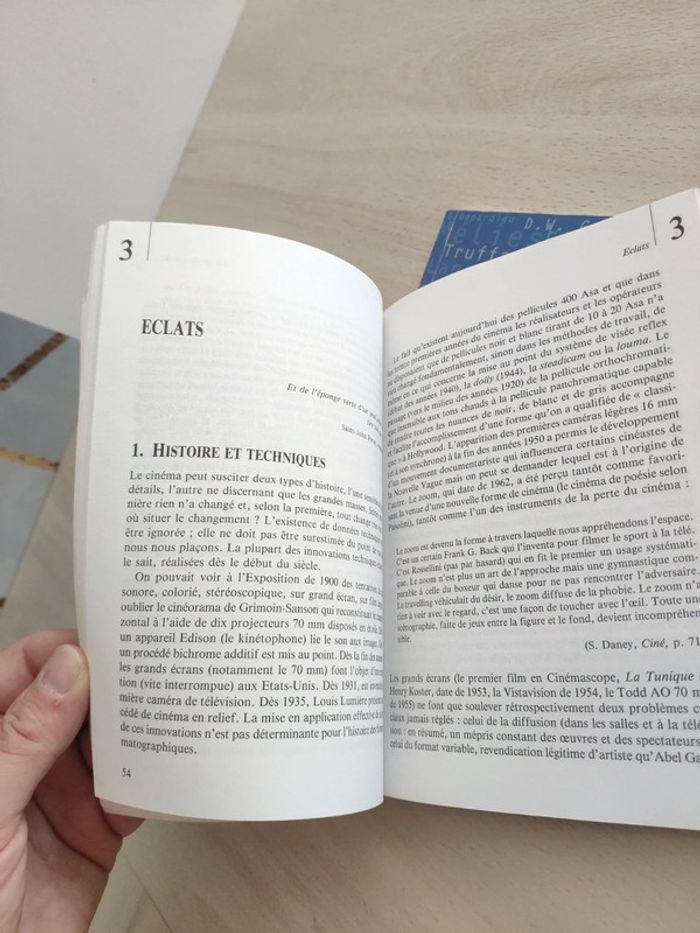 Lot deux livres cinéma en perspective une histoire Leutrat et Auzel essentiels Milan - photo numéro 9