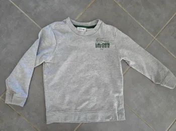 Sweat lacoste gris