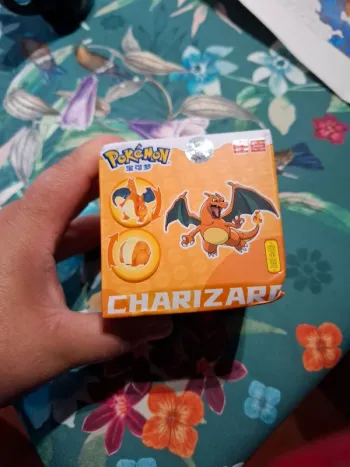 Magnifique coffret Dracaufeu articuler neuf