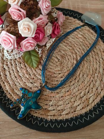 🍂Collier étoile bleu🍂