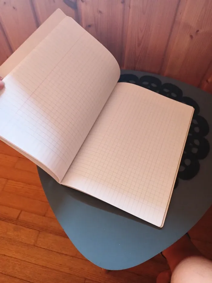 Cahier A4 motif fille rollers - photo numéro 5