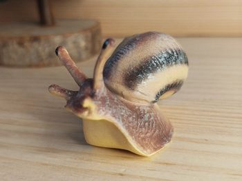 Figurine escargot Animal de la campagne