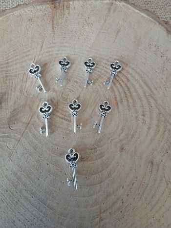 Lot de 22 breloques clés