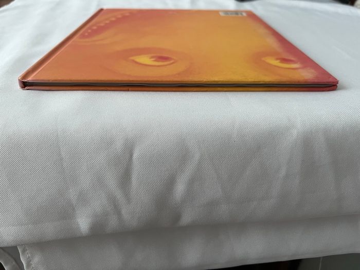 Livre mon dragon à moi - photo numéro 5