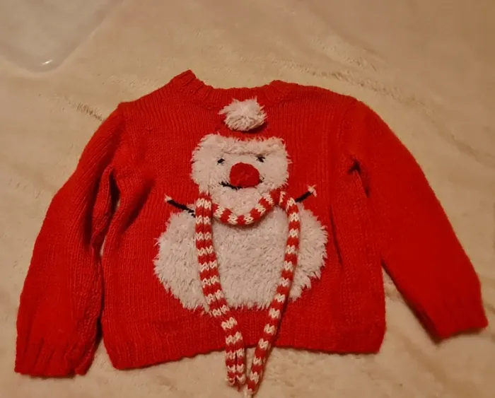 Lot pulls 2 ans - photo numéro 2