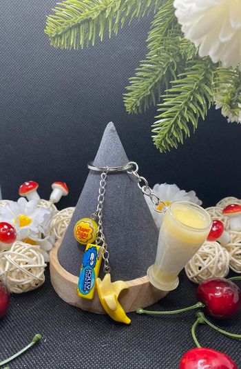 Porte clé / bijou de sac