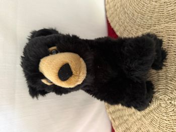Wild Republic Peluche - Ours Noir