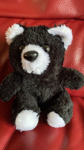 Petit ours en peluche