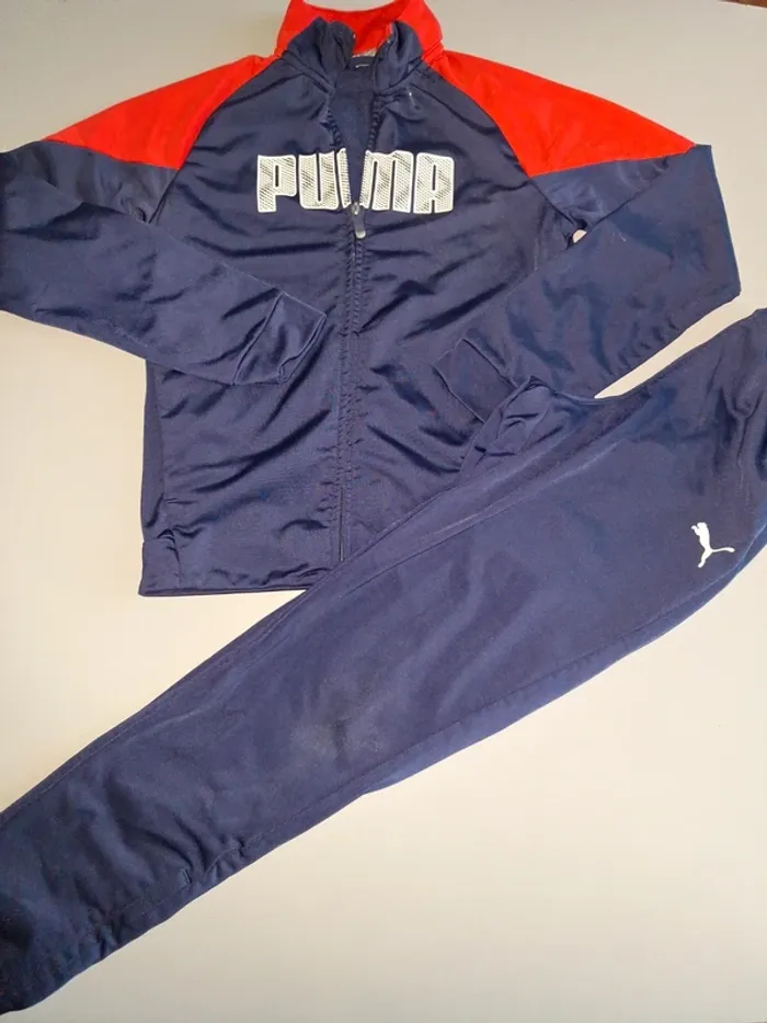Ensemble Puma