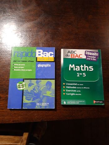 Lot 2 livres BAC 