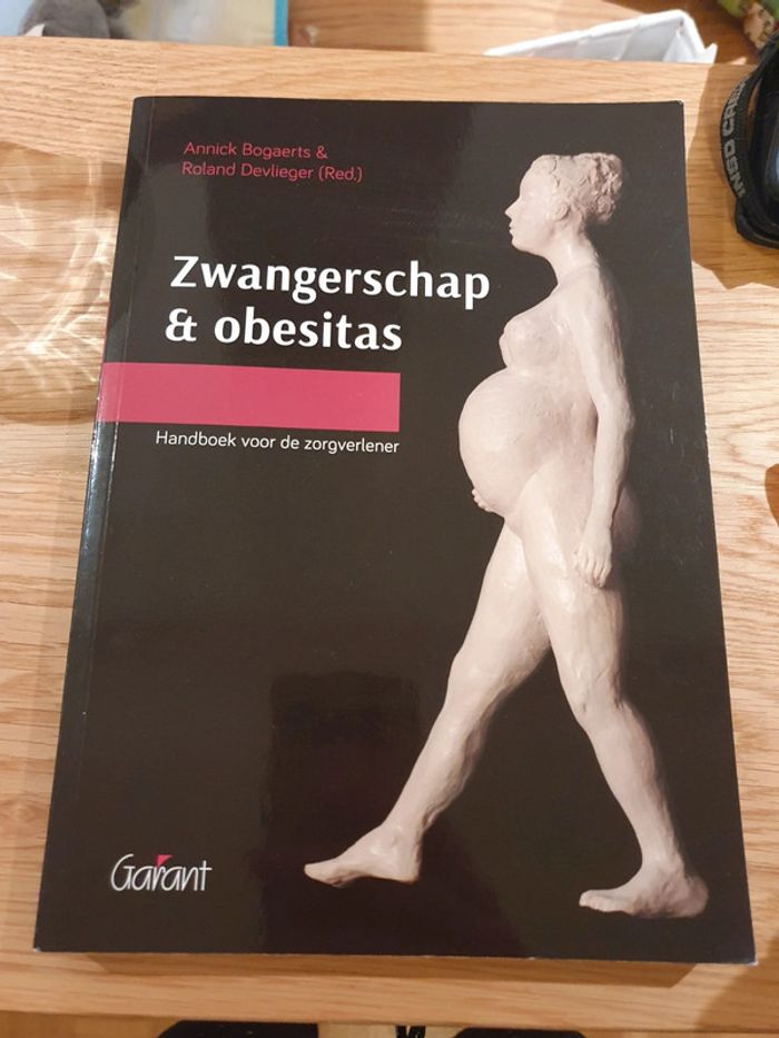 Zwangerschap and obesitas boek