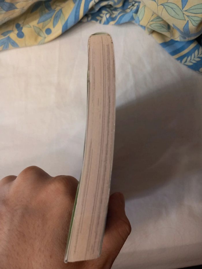 Bleach Tome 1 - photo numéro 6