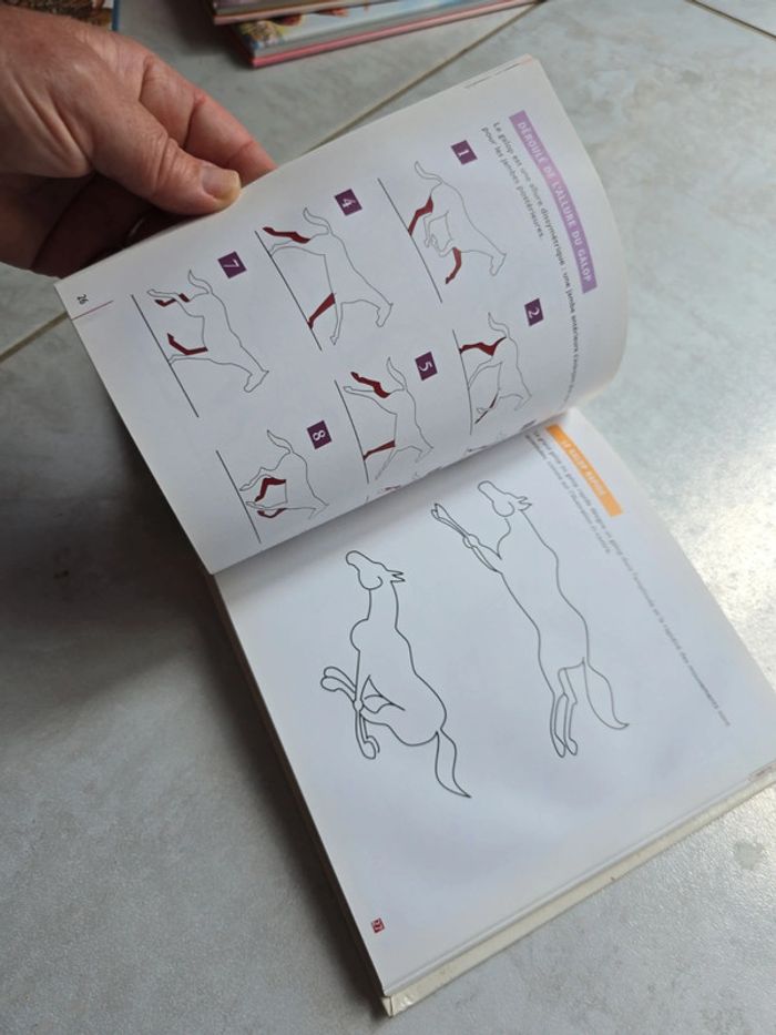 Dessiner des animaux #orianabllivre - photo numéro 7