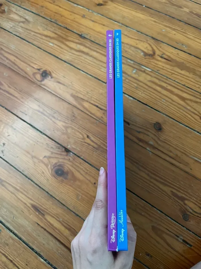 Livre Aladdin et Raiponce en BD - photo numéro 3