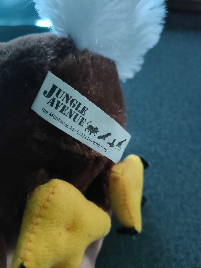 Peluche aigle 🦅 - photo numéro 5