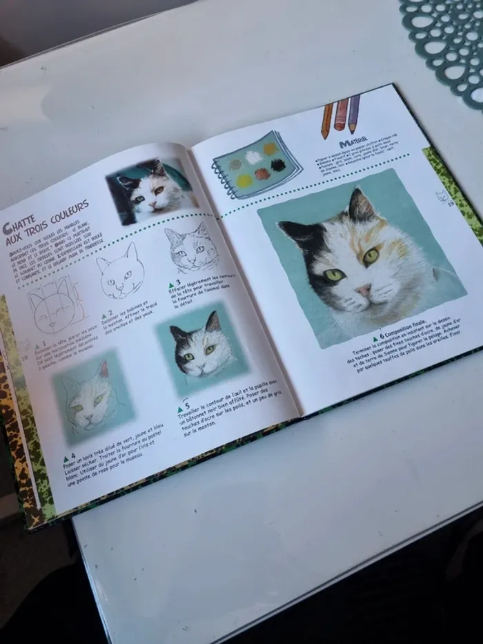 Livre "dessiner et peindre les chats" - photo numéro 4