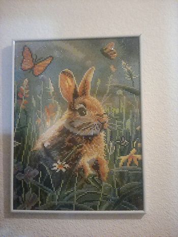 Cadre avec un diamant vend