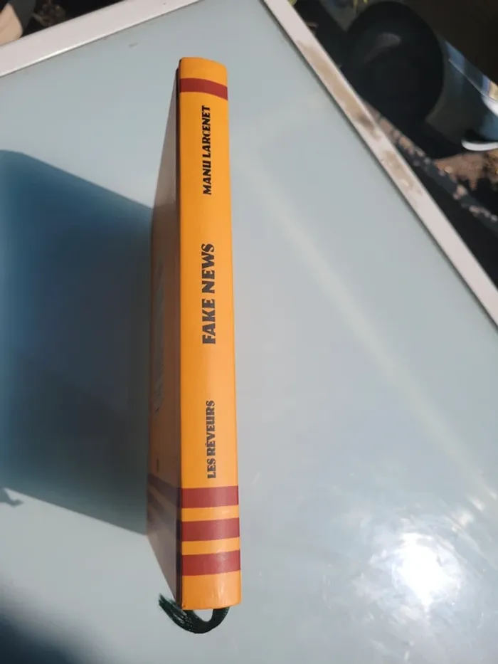 Livre Fake News, Éditions Les Rêveurs - photo numéro 8