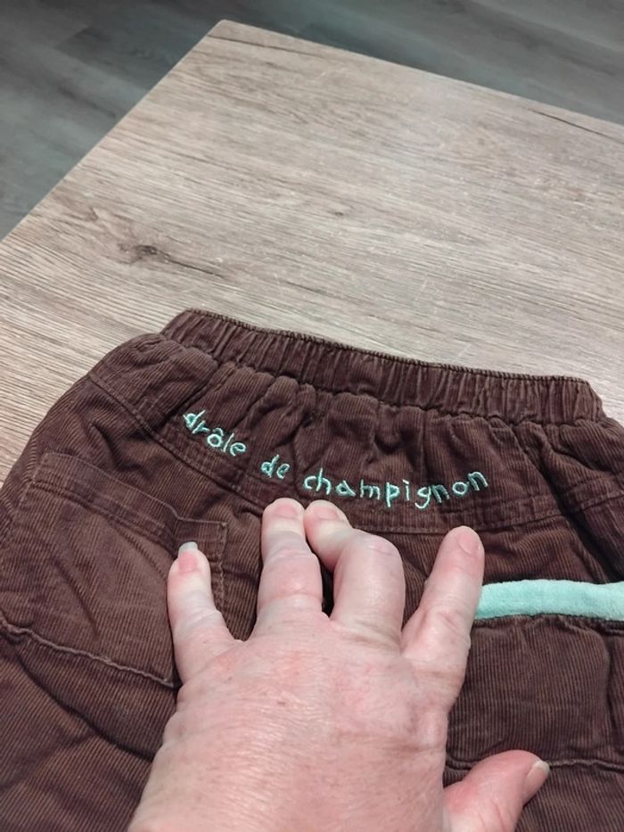 Velours orchestra - photo numéro 5