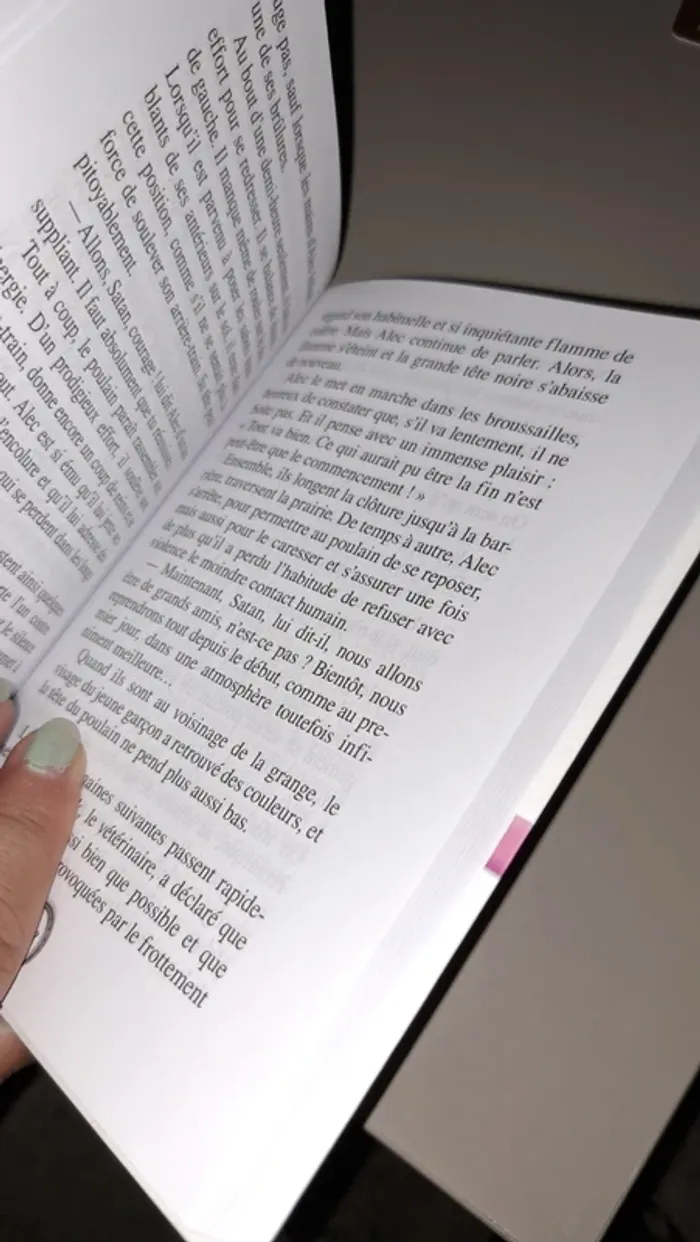 Livre neuf, le fils de l étalon noir - photo numéro 3