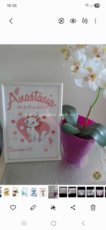 Cadre marie aristochat 