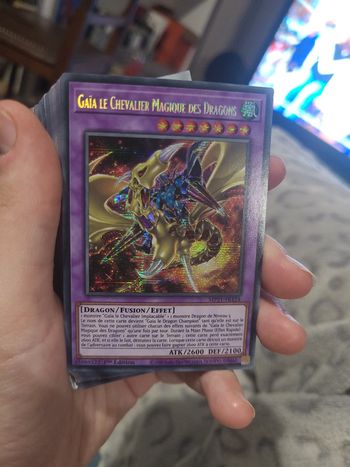 Gaia le chevalier magique des dragons