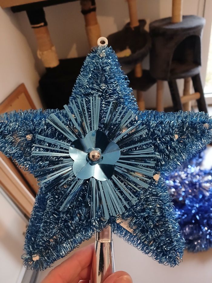 Étoile de sapin - photo numéro 4