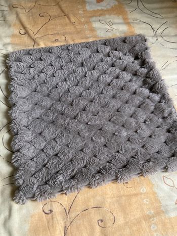 Lot 2 taies d oreillers