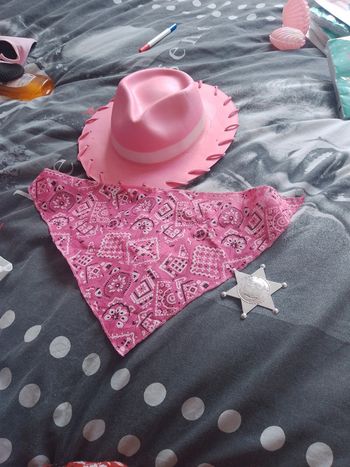 Panoplie de cow girl rose