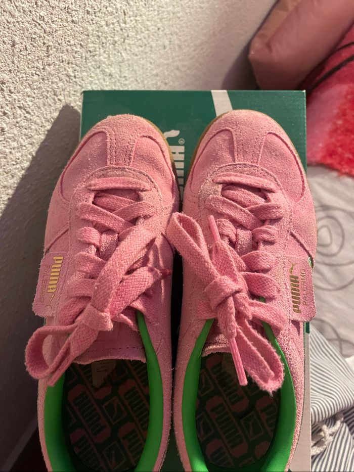 Puma palermo - photo numéro 2