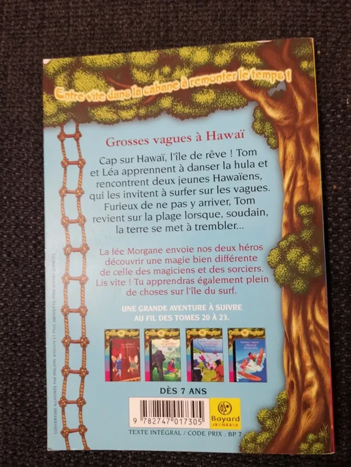 Livre la cabane magique grosses vagues à hawai - photo numéro 2