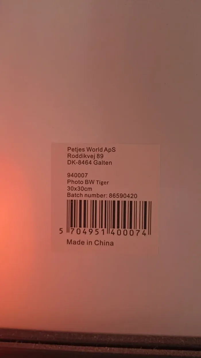 Tableau Black & White Tigre - photo numéro 3