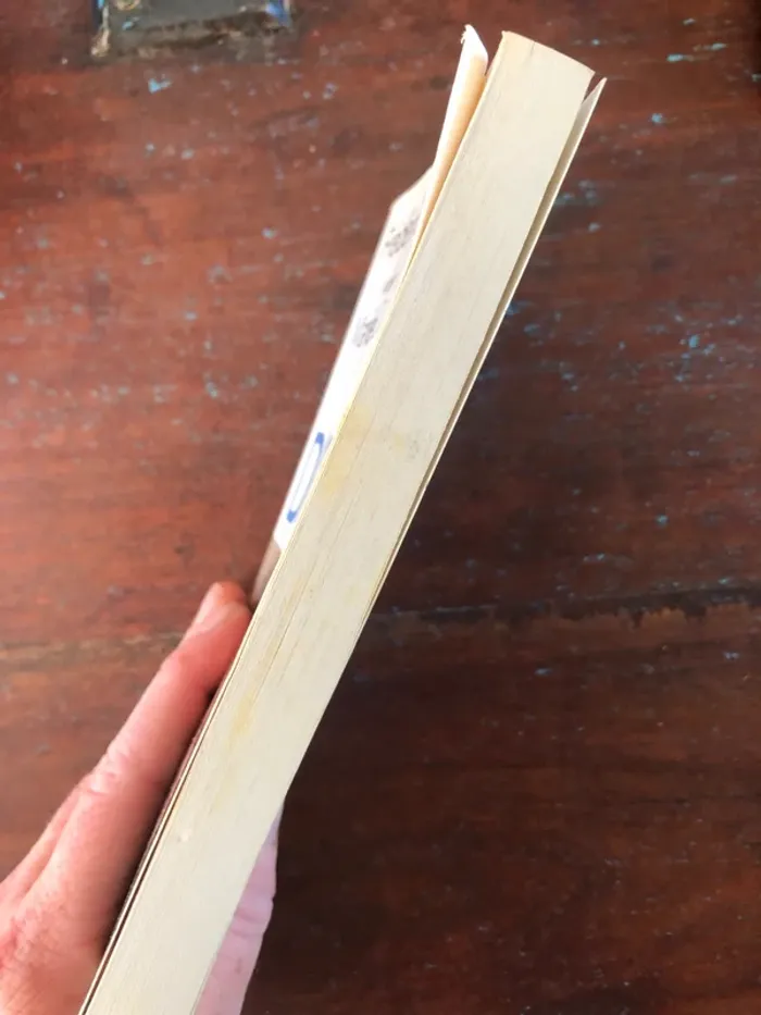 Livre poche "Dieu" de Frédéric Lenoir - photo numéro 3
