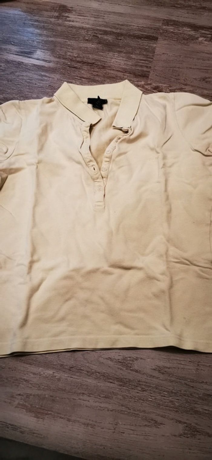Polo M