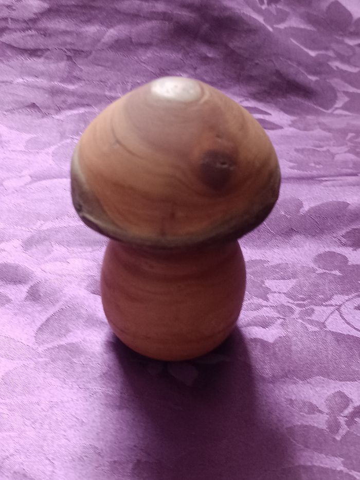 Champignon en bois et autres - photo numéro 6