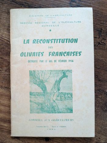 La reconstruction des olivaies françaises