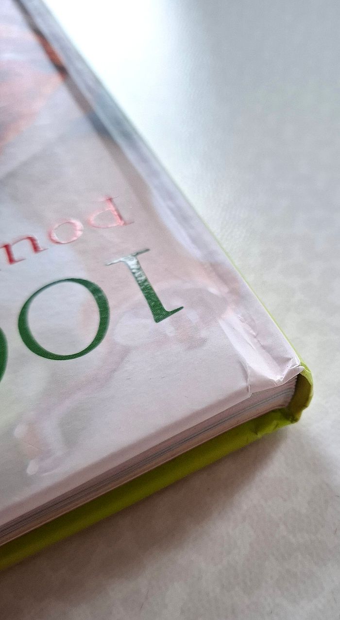 Livre de recettes - photo numéro 10