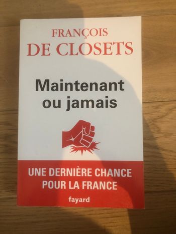 Maintenant ou jamais - Francois de Closets