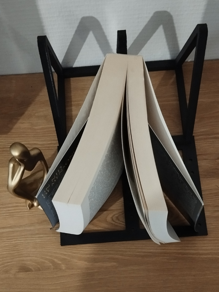 Roman Un nid de mensonges de Elizabeth George - photo numéro 6