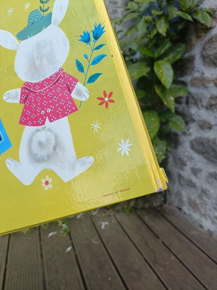 Album livre joyeux lapin - photo numéro 5