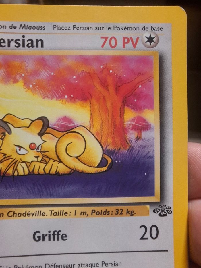 Persian Edition 1 Jungle Wizards - photo numéro 3