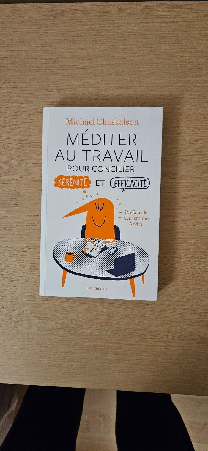 Méditer au travail Michael chaskalson les arènes