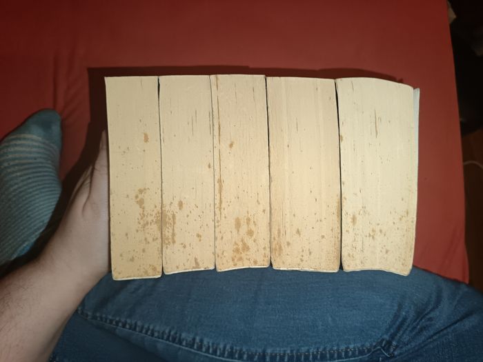 Les chroniques de mackayla lane - photo numéro 7