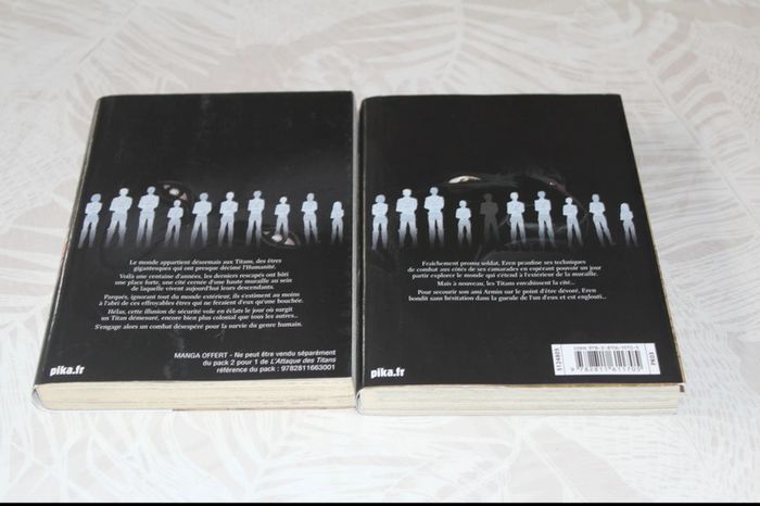 Lot 2 mangas - photo numéro 2