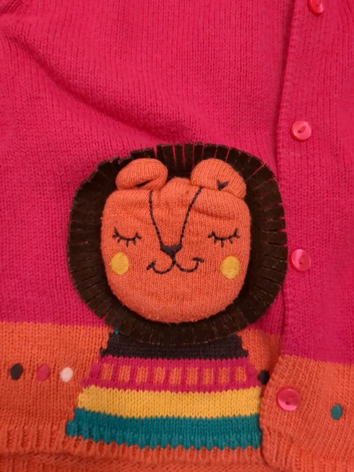 Gilet - photo numéro 4