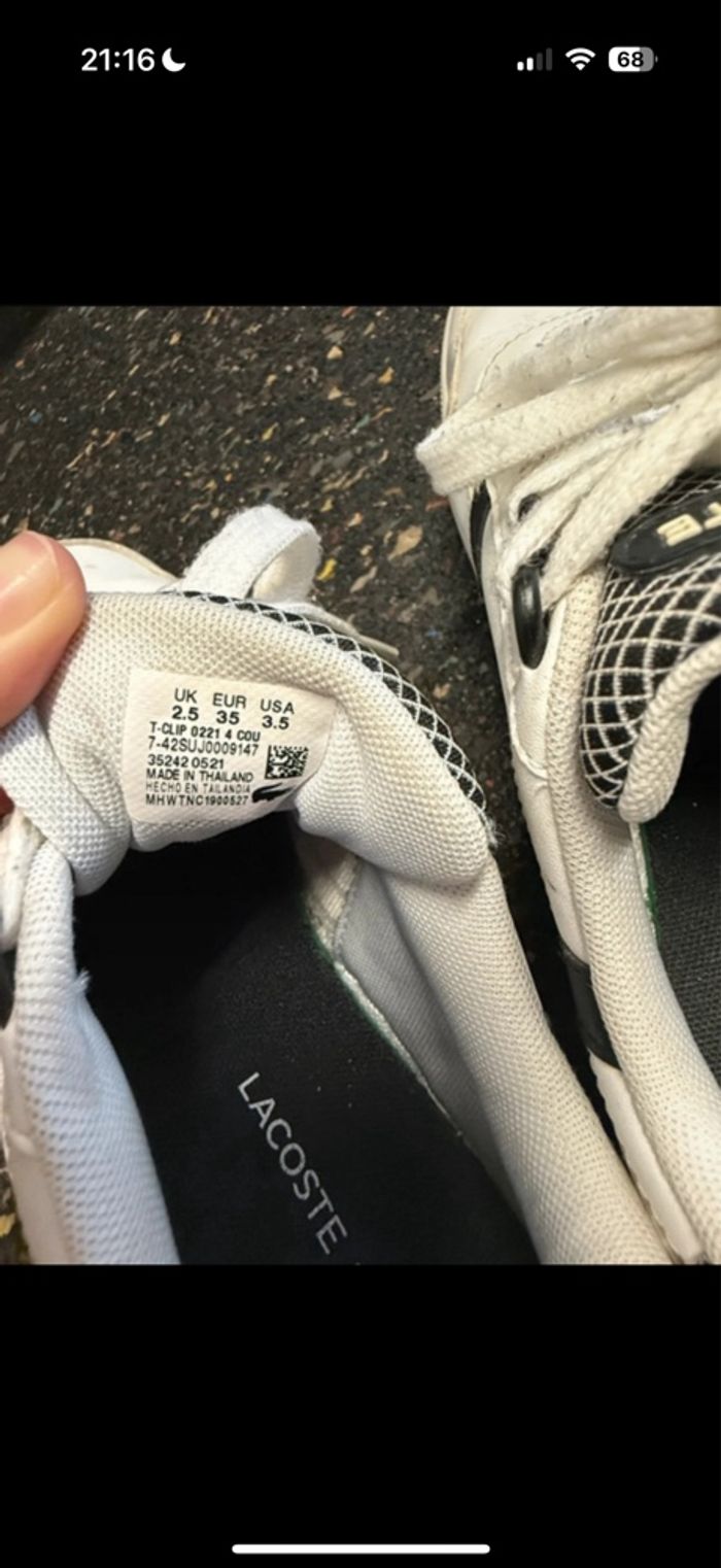 Basket Lacoste - photo numéro 3