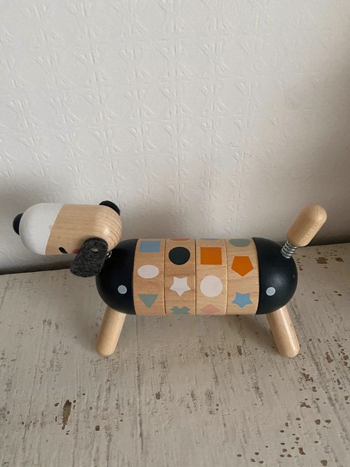 Chien Janod - photo numéro 4