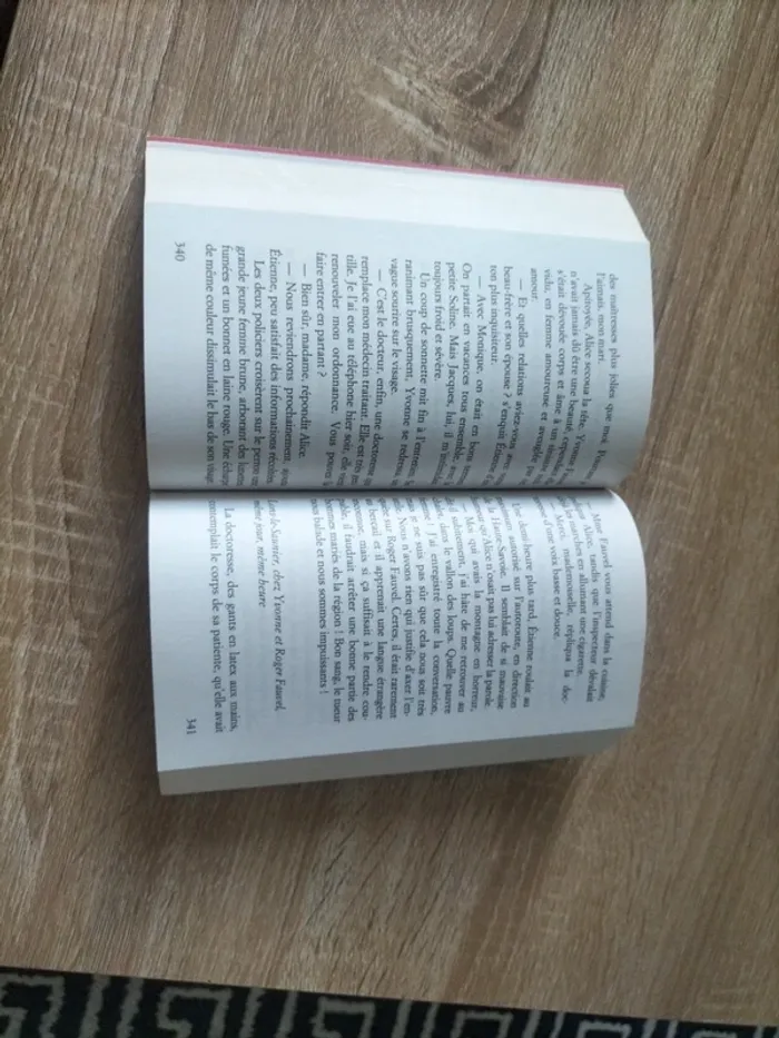 Le mystère Soline - photo numéro 3