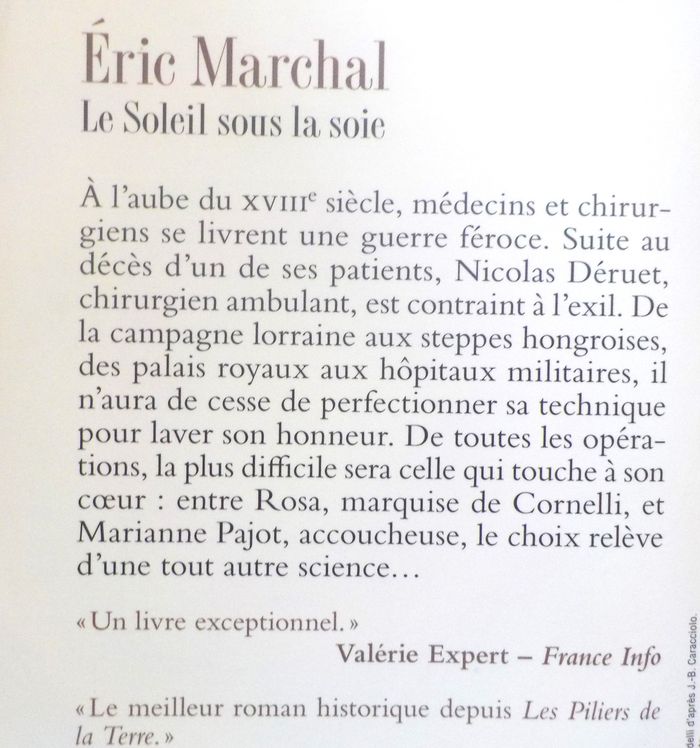LE SOLEIL SOUS LA SOIE de Eric MARCHAL Ed. Pocket - photo numéro 2